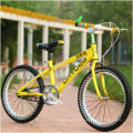 Cheap Kids Bike Student Mountain Bicycle Children Bicycle for Sale